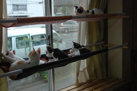 猫のためのいろいろな自作ハンモック製作事例 ネコモノ帳