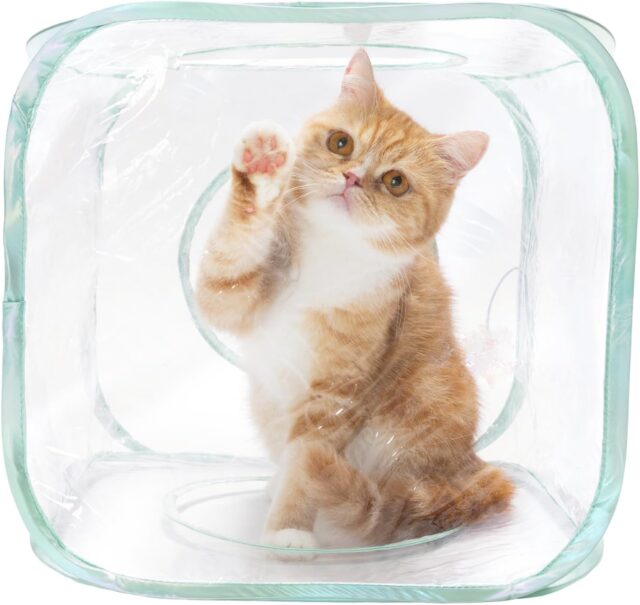 テントタイプの組み立てハウス