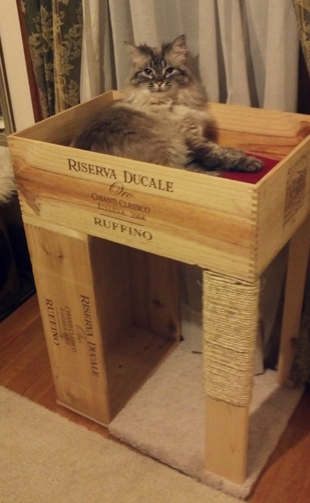 裁縫できなくてもok 手作りの猫ベッドのdiyアイディア9選 ネコモノ帳