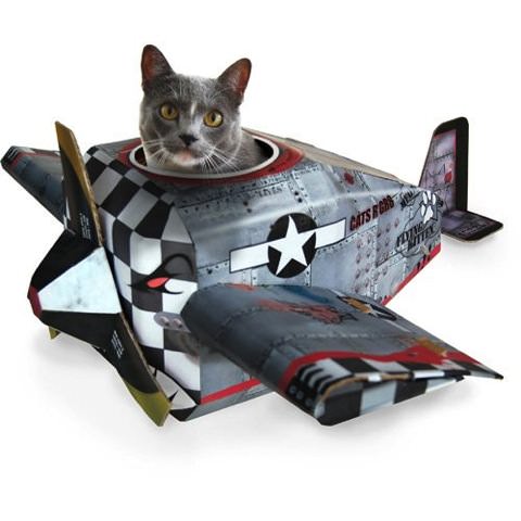 キャットウォーク 飛行機 猫 猫が乗れる飛行機｜ネコモノ帳