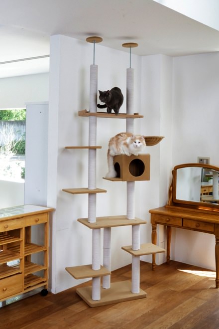 木製家具にマッチする突っ張り型キャットタワー｜ネコモノ帳
