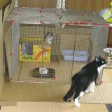 用途に合わせて自由に使える手作り猫ケージのアイディア集