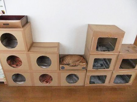 猫が喜ぶ手作りダンボールハウスのアイディア集 | ネコモノ帳