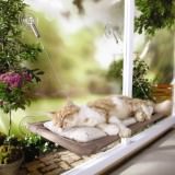 サニーシート - Sunny Seat Window Mounted Cat Bed