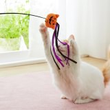 猫と一緒に楽しめる猫用ハロウィングッズ