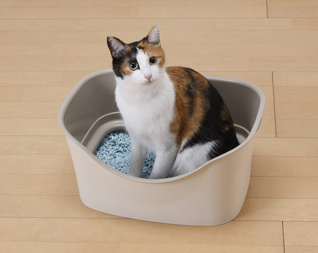 猫砂が飛び散らない二重構造の小型猫トイレ ネコモノ帳