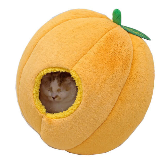柑橘類は苦手だけどこれなら大丈夫な猫のミカンベッド ネコモノ帳