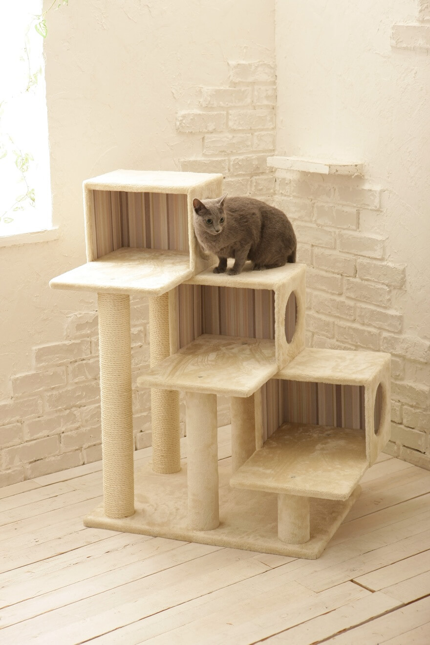 シニア猫でも安心して使える階段型キャットタワー ネコモノ帳