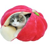 美味しそうなフルーツの猫ベッド