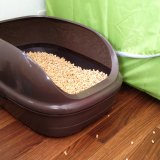 リビングルームでキャットトイレを使う時に役立つトイレカバーの種類と選び方