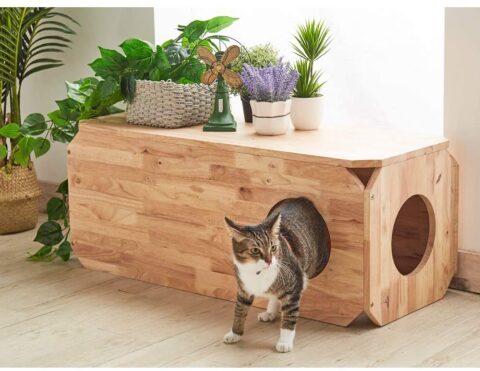 人も座れるベンチ型の木製キャットハウス｜ネコモノ帳